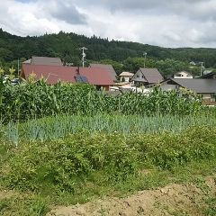 thumb 201908 maekawa04