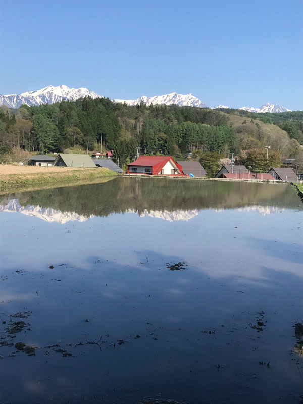 田んぼ