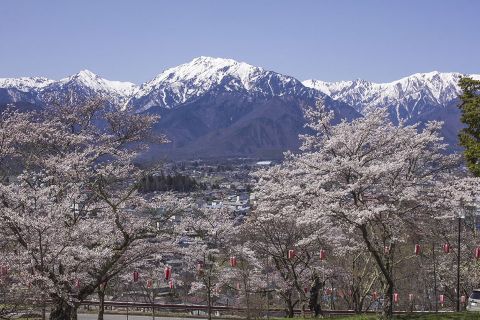 thumb 201903 nakayama o park
