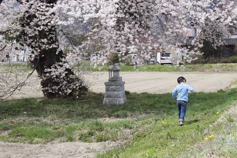 thumb 201903 nakayama sunuma