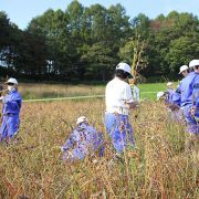 thumb nakayama 201510 07
