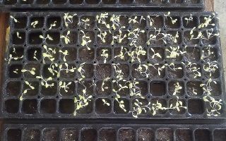 201905 oda 02