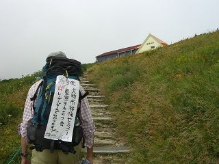 thumb taneike steps